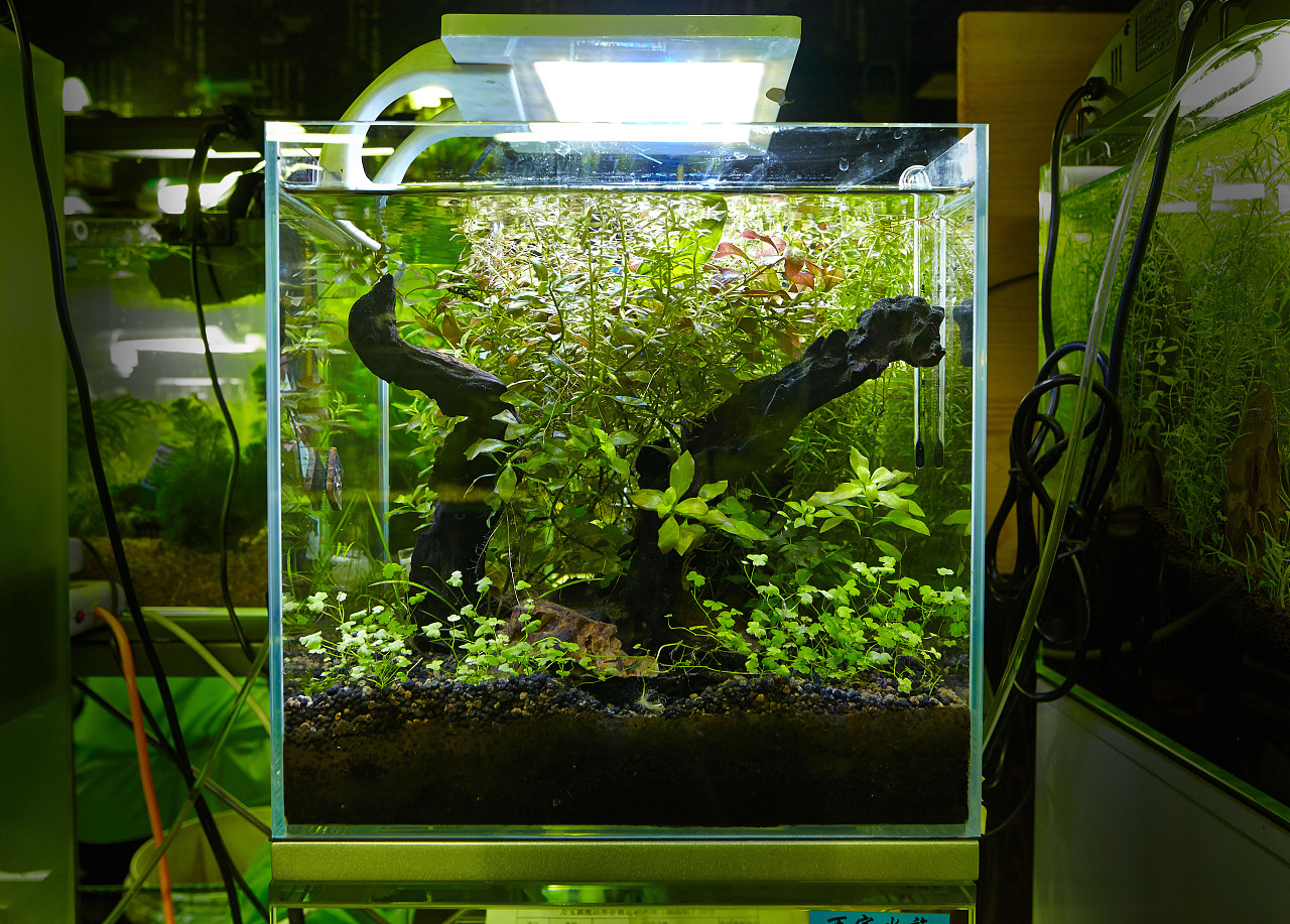 园林水泵的选择与使用 园林水泵的选择与使用