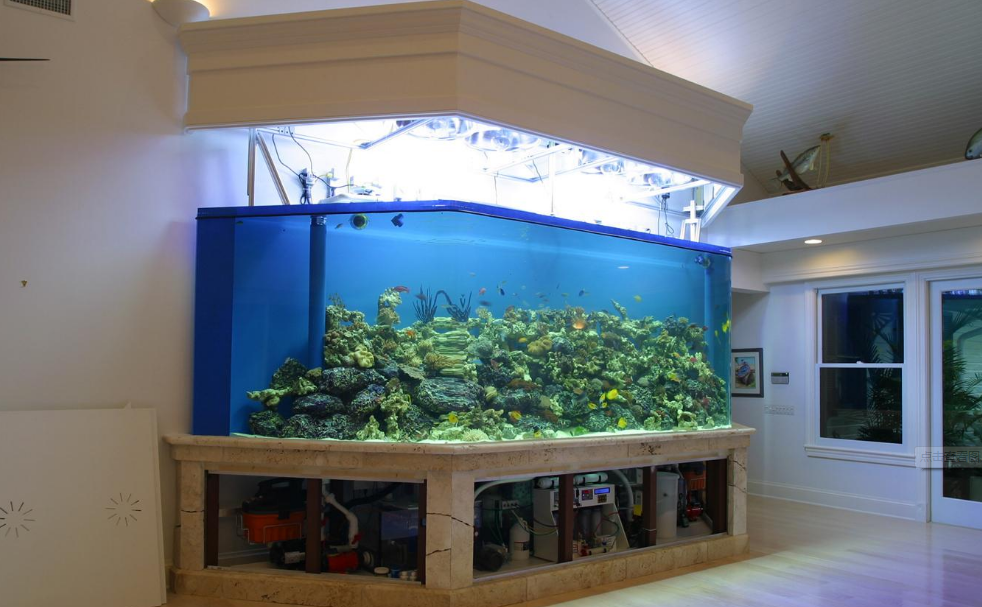 学会看参数是选购水泵的核心要点 学会看参数是选购水泵的核心要点