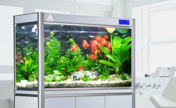 鱼缸外置水泵怎么使用