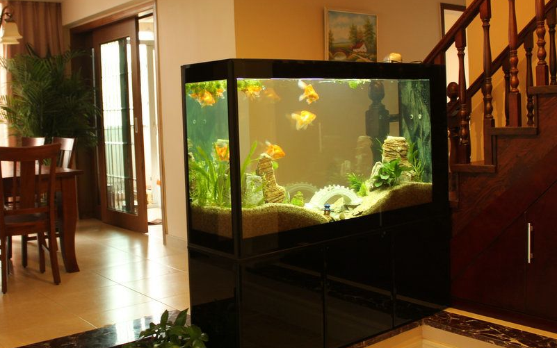 鱼缸水泵三问 鱼缸水泵三问