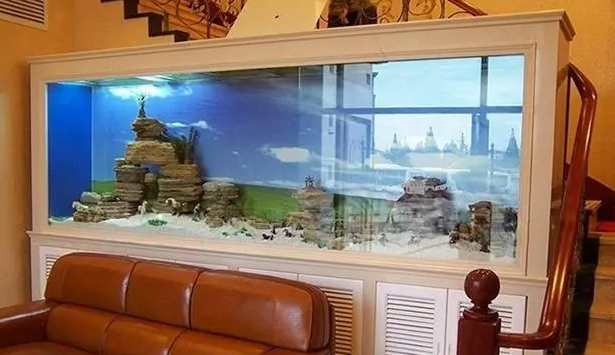 金鱼的饲养方法 金鱼的饲养方法