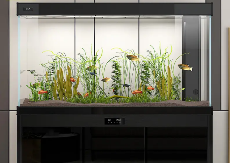 龙鱼生病了怎么治疗 龙鱼生病了怎么治疗