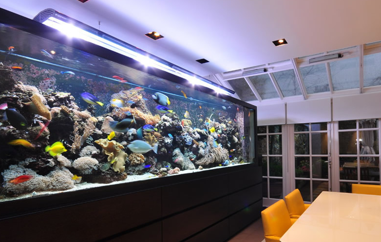 鱼缸水泵的选择方法 鱼缸水泵的选择方法